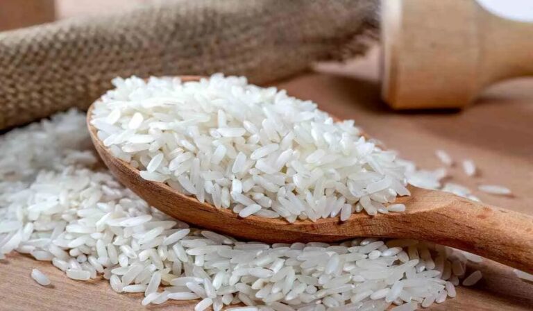 قیمت جدید انواع برنج ایرانی چند شد؟/ گرانی برنج ادامه دارد؟