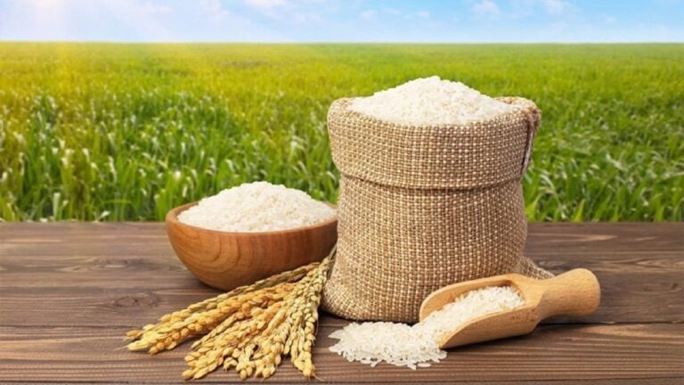 جدیدترین قیمت برنج ایرانی در بازار اعلام شد