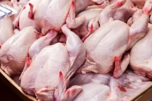 جدیدترین قیمت انواع گوشت مرغ در بازار اعلام شد