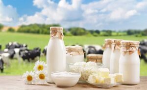 هشدار وزارت بهداشت به مادران باردار؛ از خوردن لبنیات فله‌ای خودداری کنید
