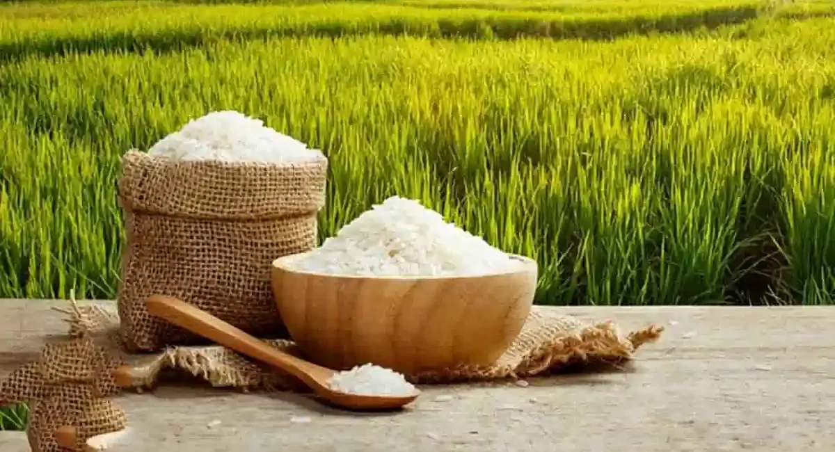 ثبت سفارش واردات برنج از امروز