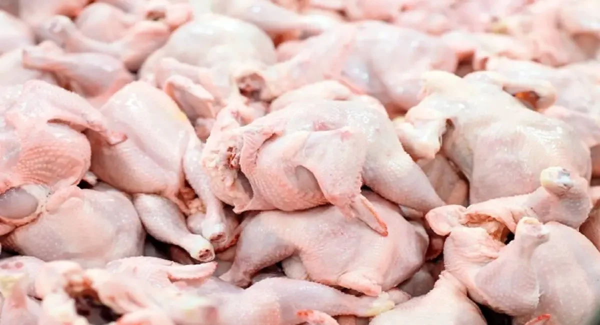 قیمت جدید گوشت مرغ ۱۵ تیر