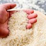 قیمت جدید انواع برنج ایرانی در بازار