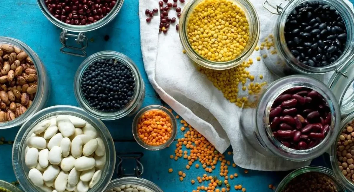 پروتئین گیاهی