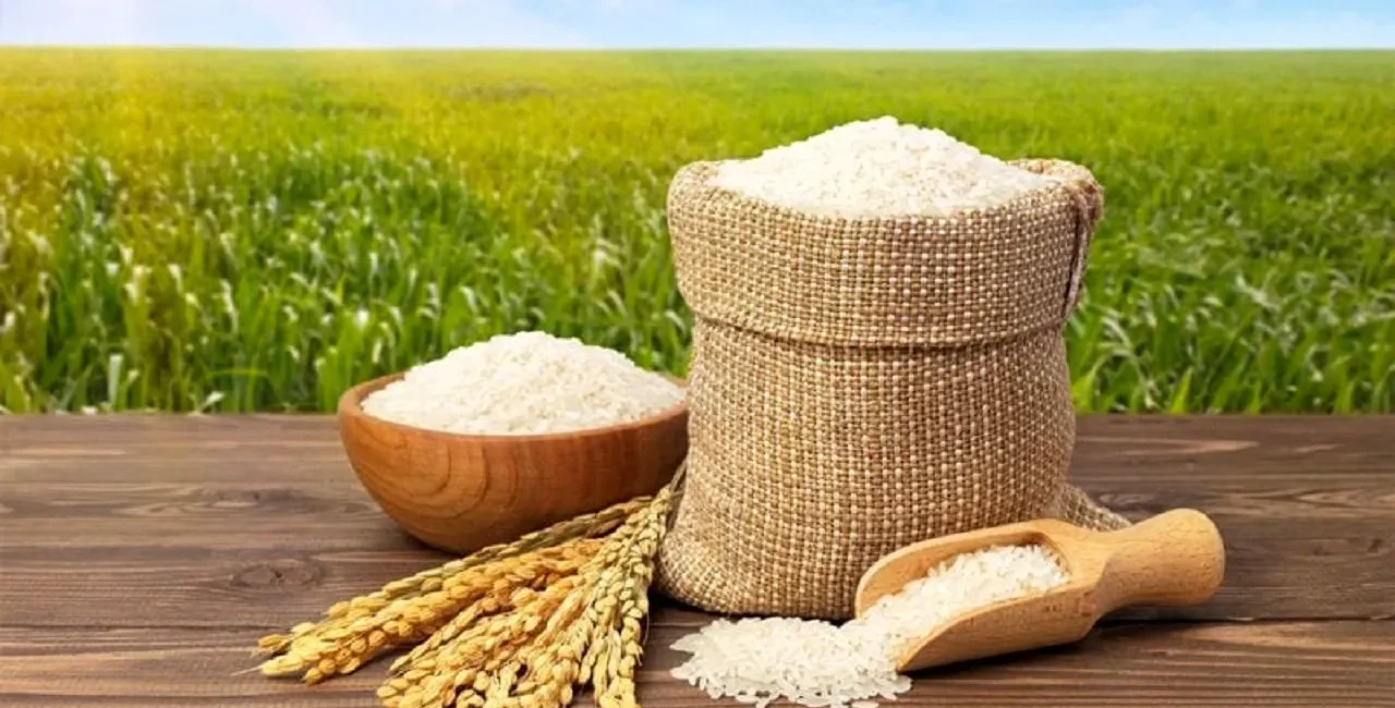 قیمت برنج ایرانی امروز دوشنبه 6 مهر 1405