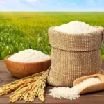 قیمت برنج ایرانی امروز دوشنبه 6 مهر 1405